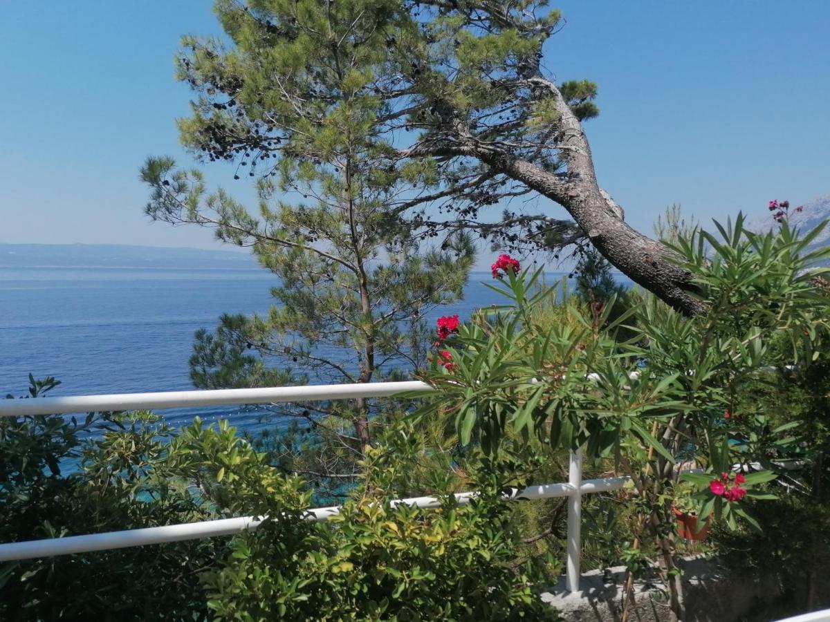 Apartmani Mares - 20 M From The Beach เบรลา ภายนอก รูปภาพ